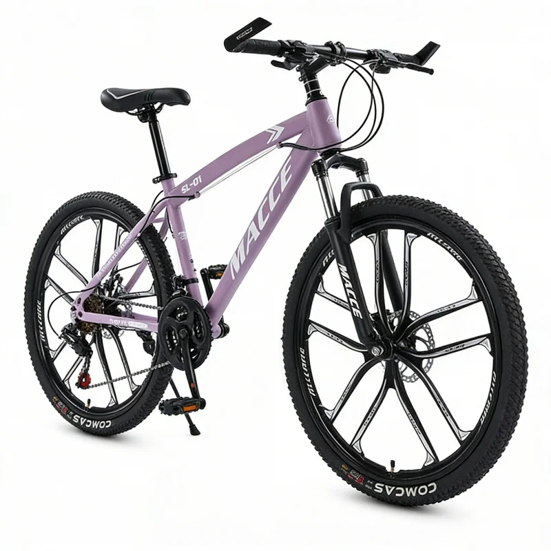 Purple 10-Speed High-End Mount - Cycling Low Gear のレビューと価格