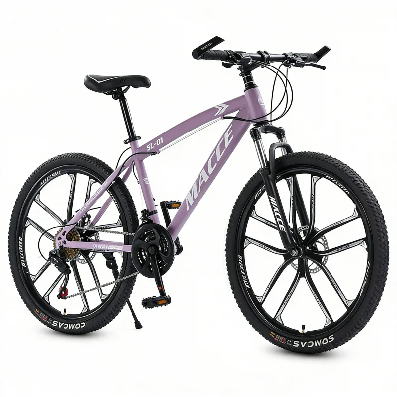Purple 10-Speed High-End Mount - Cycling Low Gear のレビューと価格
