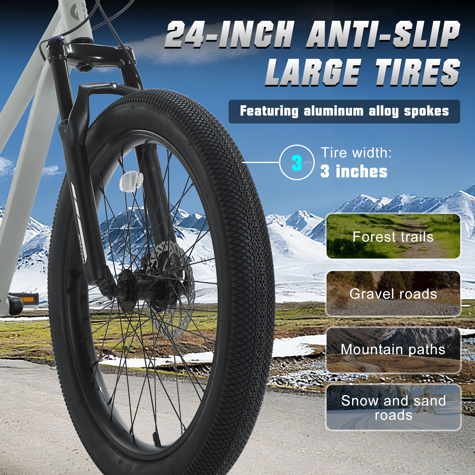 SPATIAL 24 Inch Fat Tire Mount - Cycling Low Gear のレビューと価格