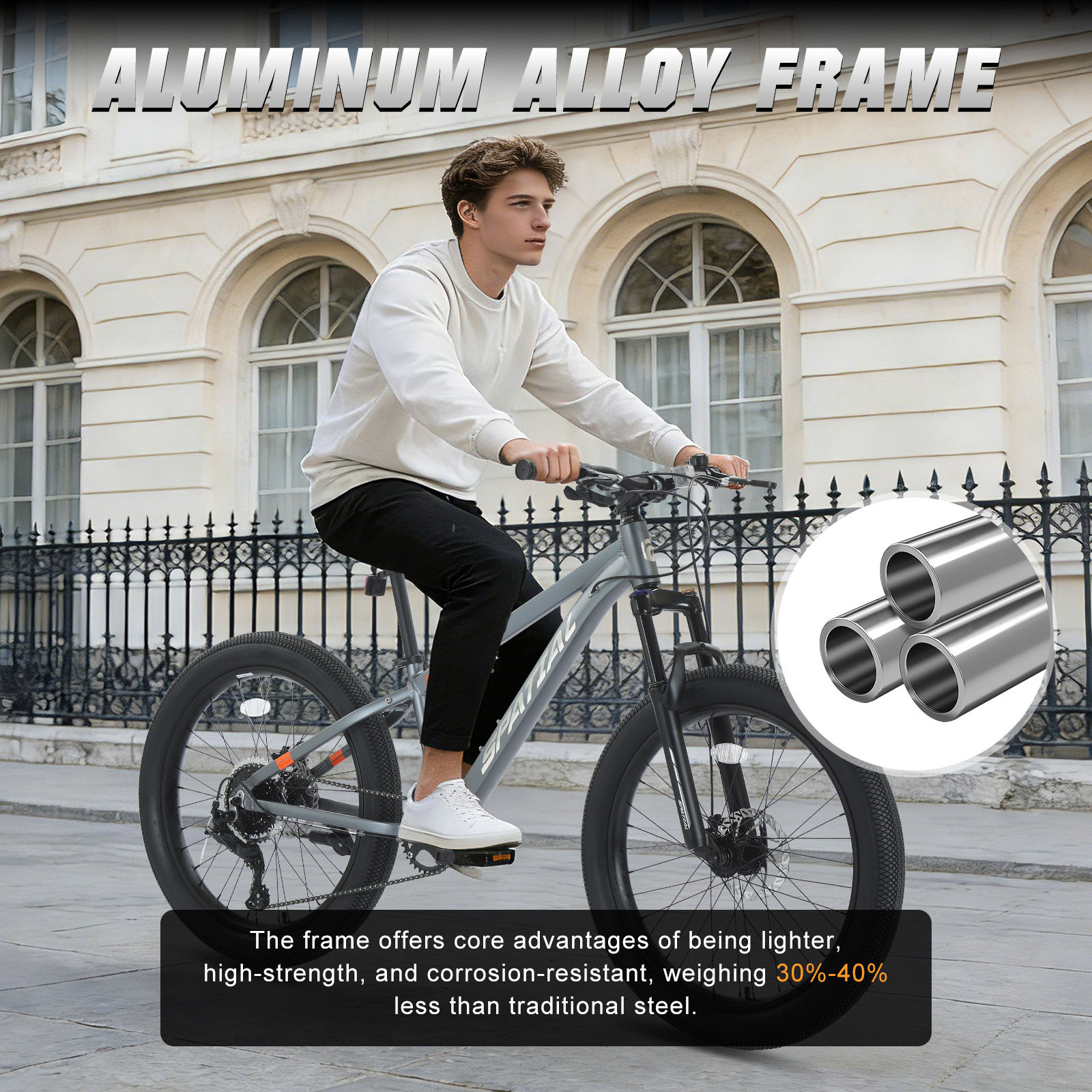 SPATIAL 24 Inch Fat Tire Mount - Cycling Low Gear のレビューと価格