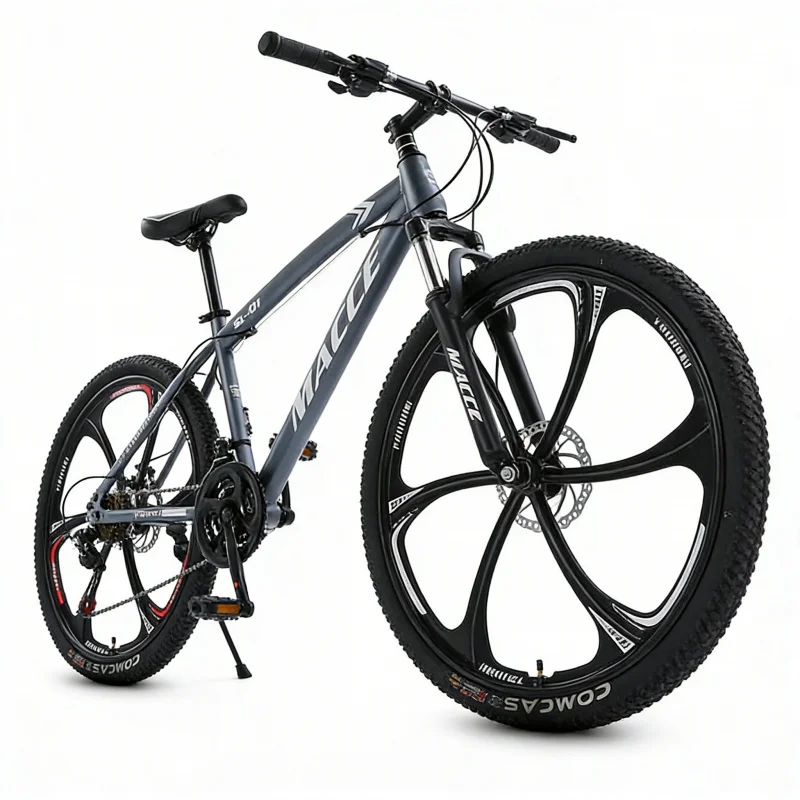 Adult Gray Six-Spoke High-End  - Cycling Low Gear のレビューと価格