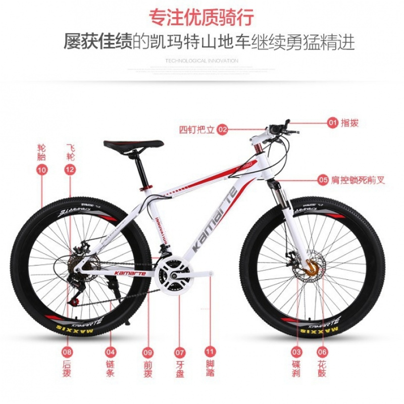 26-inch Youth & Adult Mountain - Cycling Low Gear のレビューと価格