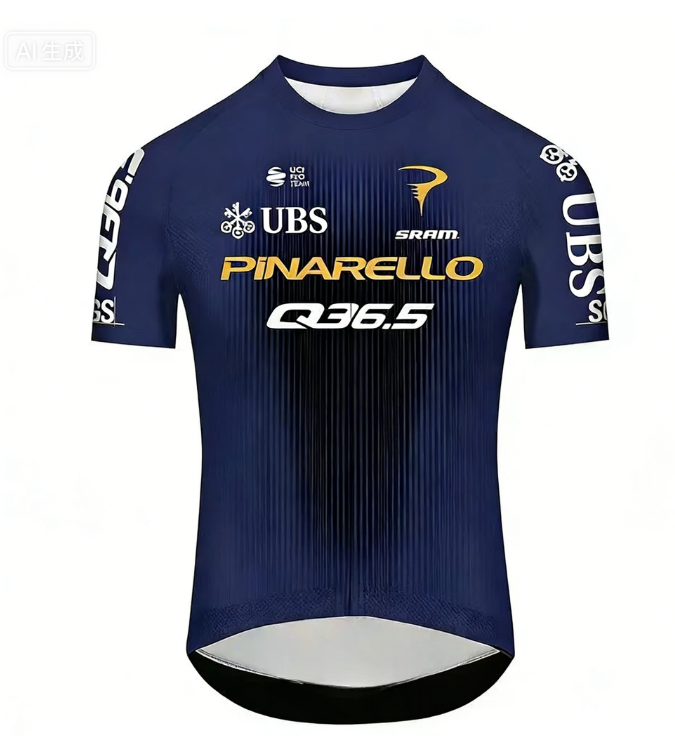 Italy Q36.5 Pro Cycling Team Q - Cycling Gear Apparel のレビューと価格