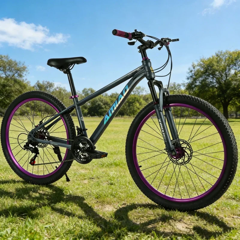 Multi-speed Mountain Bike Ligh - Cycling Low Gear のレビューと価格