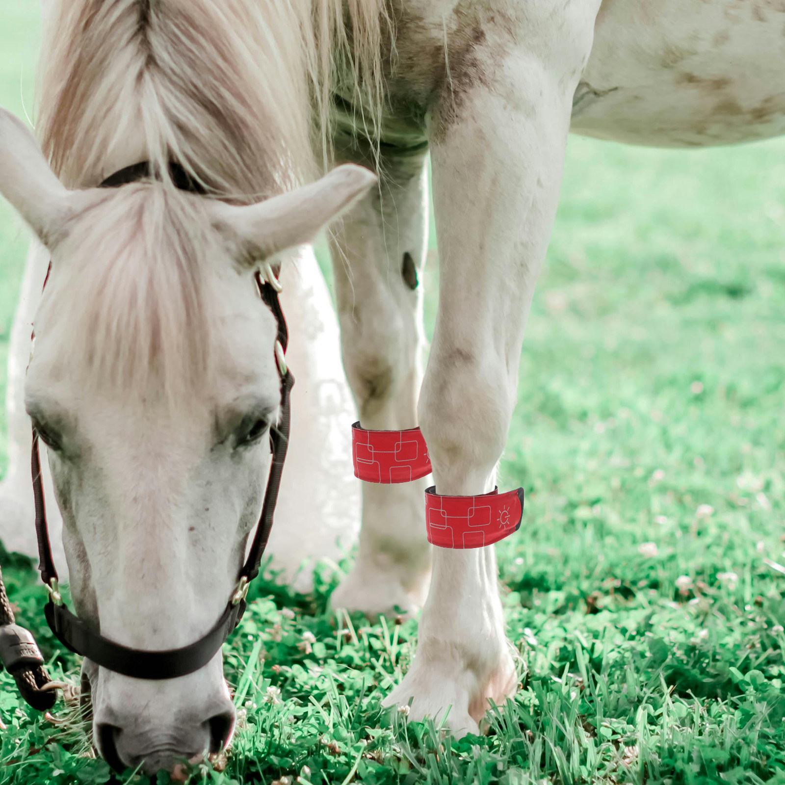 4Pcs LED Horse Ankle Bands Ult - Ultra Cycling Gear のレビューと価格